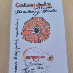 Calendula Officinal, Strawberry Blonde