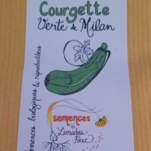 Courgette Verte de Milan (cucurbita pepo)