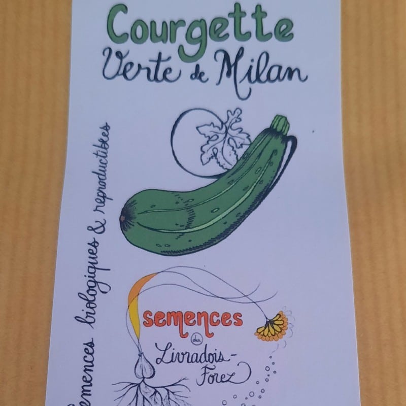 sachet de 15 graines de courgette verte de milan