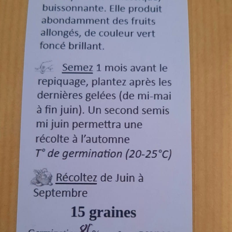 Courgette Verte de Milan (cucurbita pepo) – Image 2