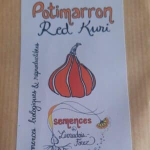 Potimarron Red Kuri (Cucurbita Maxima)