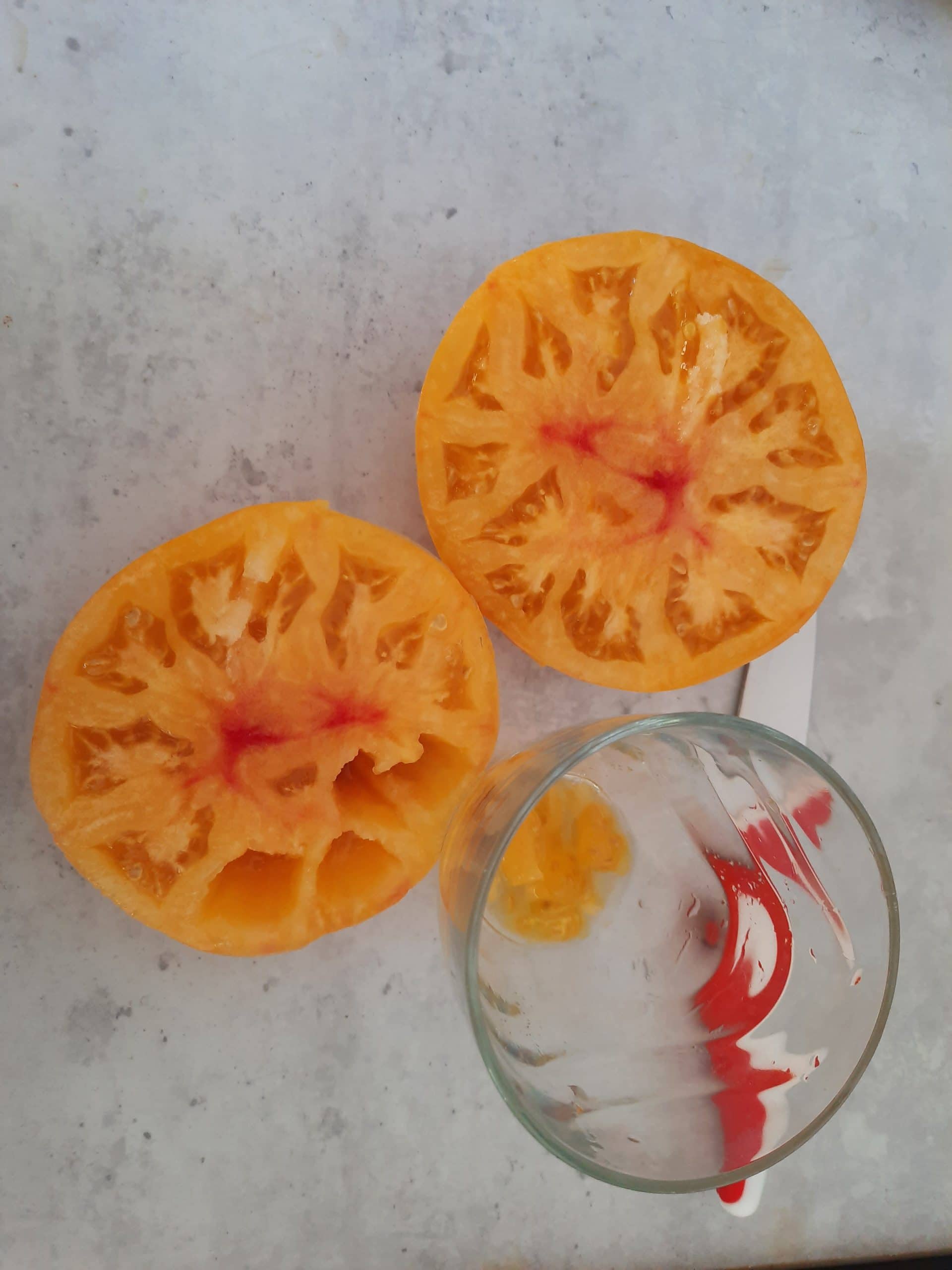 récupérer les graines d'une tomate