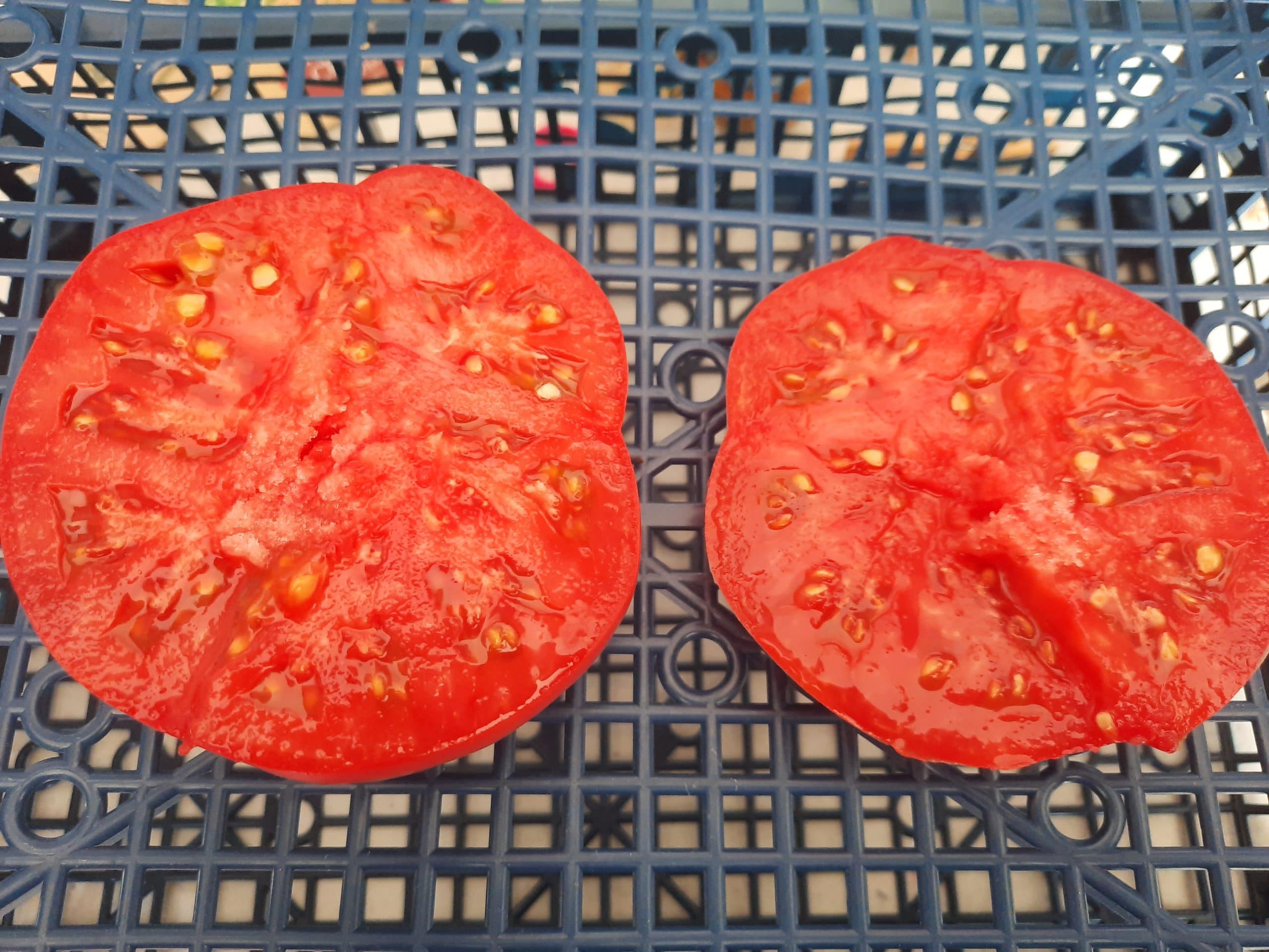 Grosse Tomate