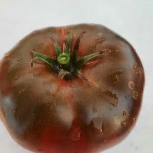 Tomate Noire de Crimée