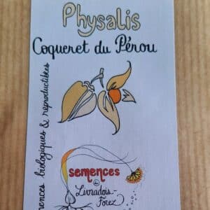 Physalis, Coqueret du Pérou (physalis peruviana)