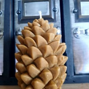 Bougie Pomme de Pin