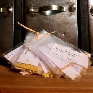 Pack Potager – 15 variétés de graines