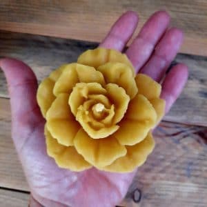 Bougie Rose