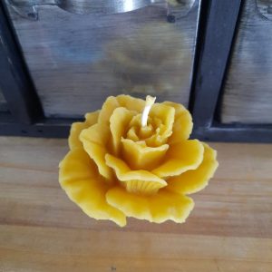 Bougie Rose