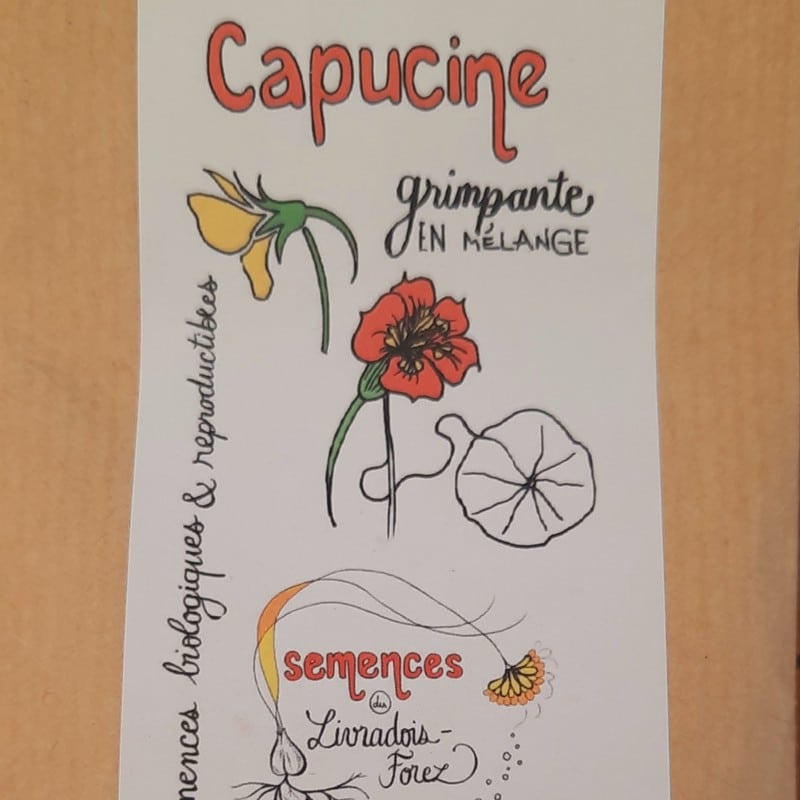 sachet de 25 graines de capucine grimpante