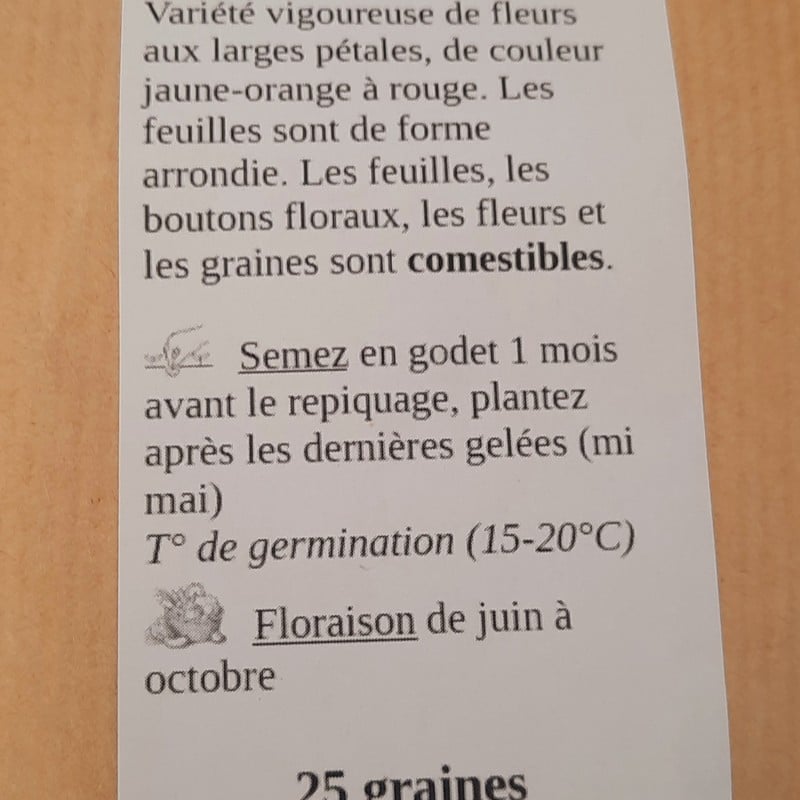 Capucine grimpante en mélange (Tropaeolum majus) – Image 2