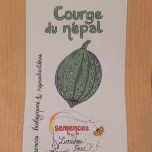 Courge du Népal (Cucurbita maxima)