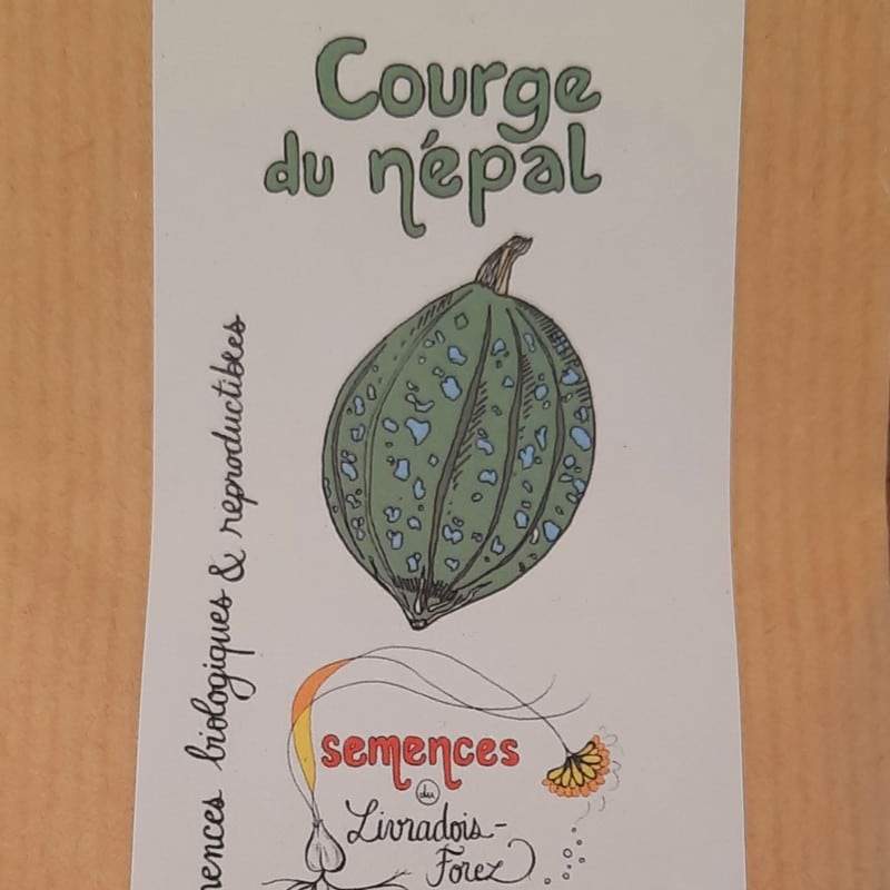 sachet de 25 graines de courge du népal