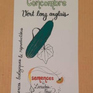 Concombre vert long anglais (Cucumis Sativus)