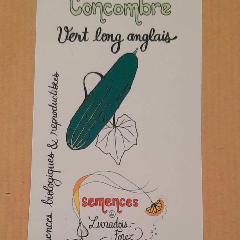 sachet de 25 graines de concombre vert long anglais