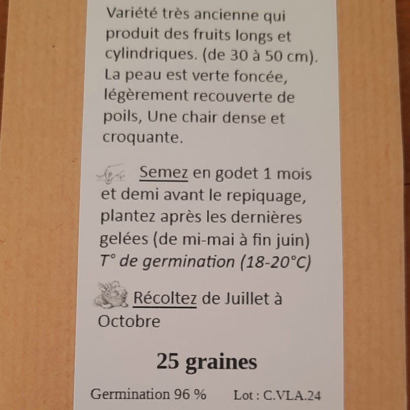 concombre vert long anglais