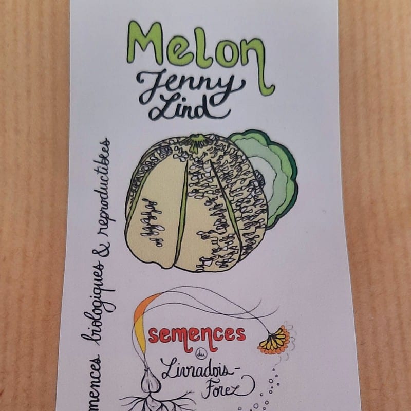 Sachet de graines de Melon Jenny Lind
