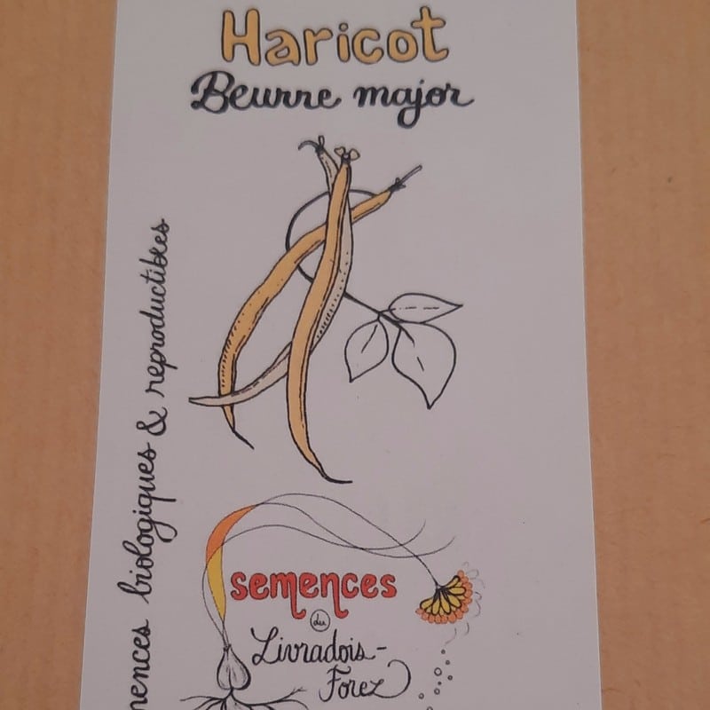 sachet de 100 graines de haricot beurre