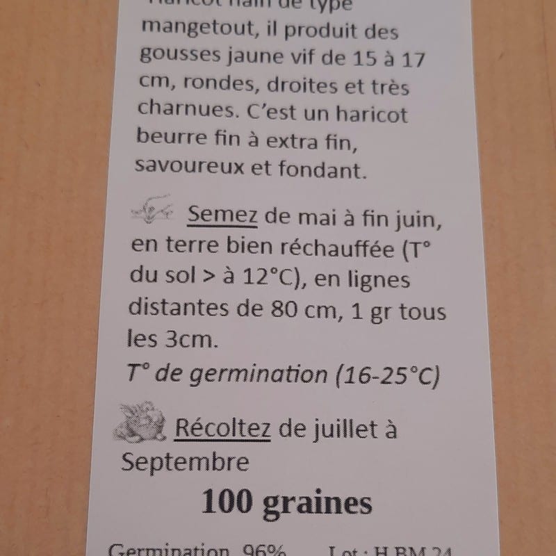 graines de Phaseolus vulgaris Major, haricot beurre. Sachet de 100 graines