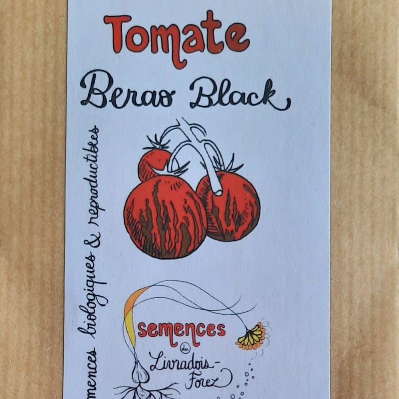 Sachet de 35 graines de tomate berao black