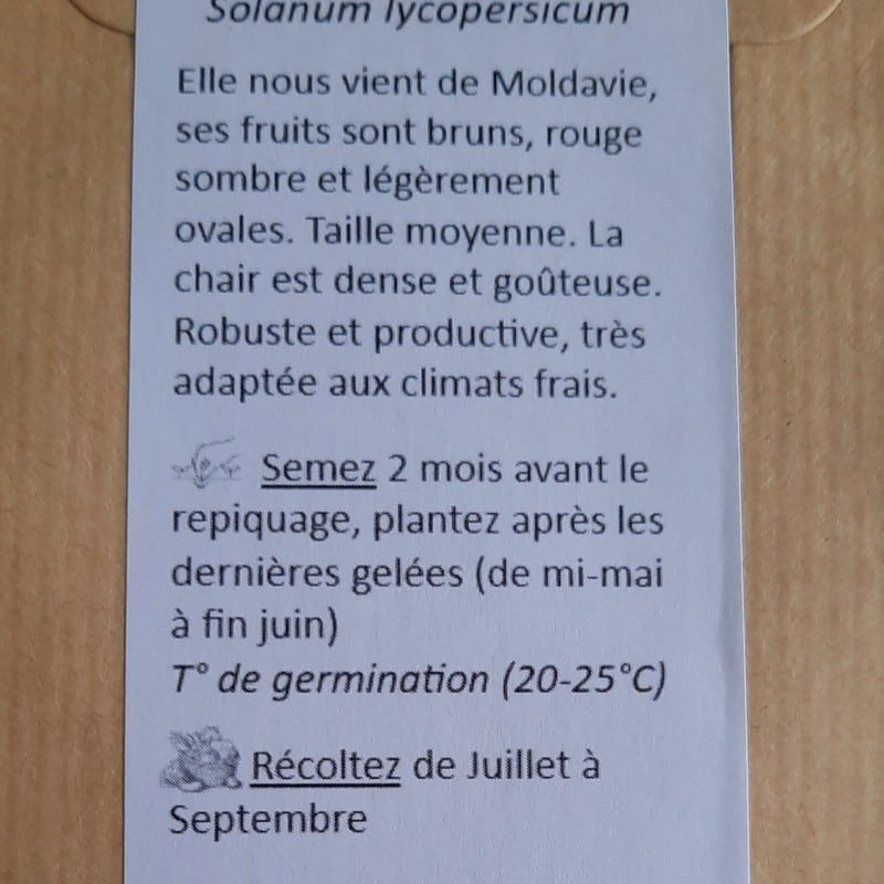 sachet de 25 graines de tomate Berao Black