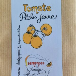 Tomate pêche jaune (Solanum lycopersicum)