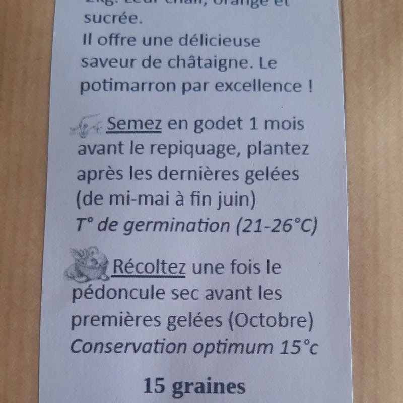 graines de lactuca sativa