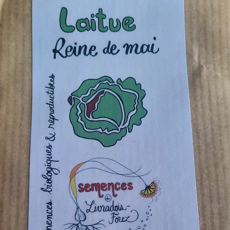 sachet de graines de laitue reine de mai