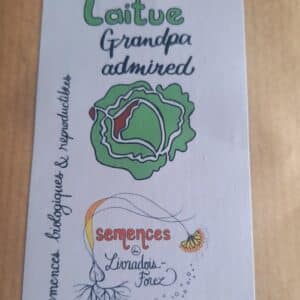 Laitue Grand pa Admired (Lactuca sativa)