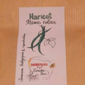 Haricot rame cobra (Phaseolus vulgaris)