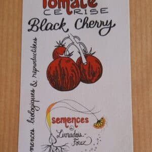 Tomate cerise Black Cherry (solanum lycopersicum)