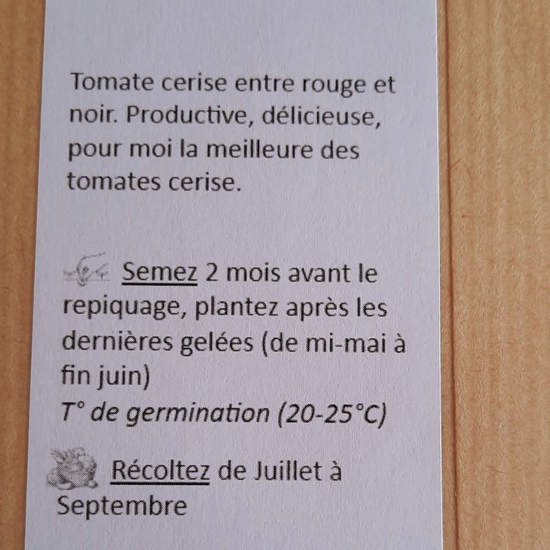 sachet de 35 graines de tomate black cherry