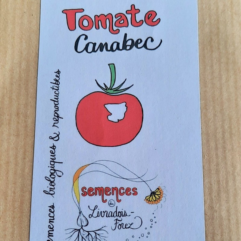 Sachet de 35 graines de Tomate Canabec Rose