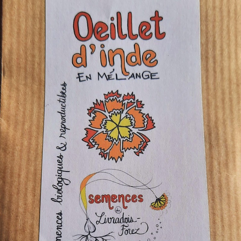 sachet de 100 graines d'oeillet d'inde en mélange