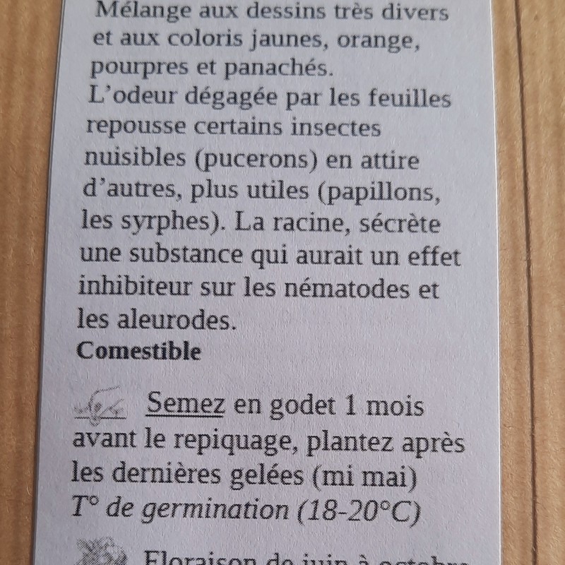 sachet de graines de tagetes paula