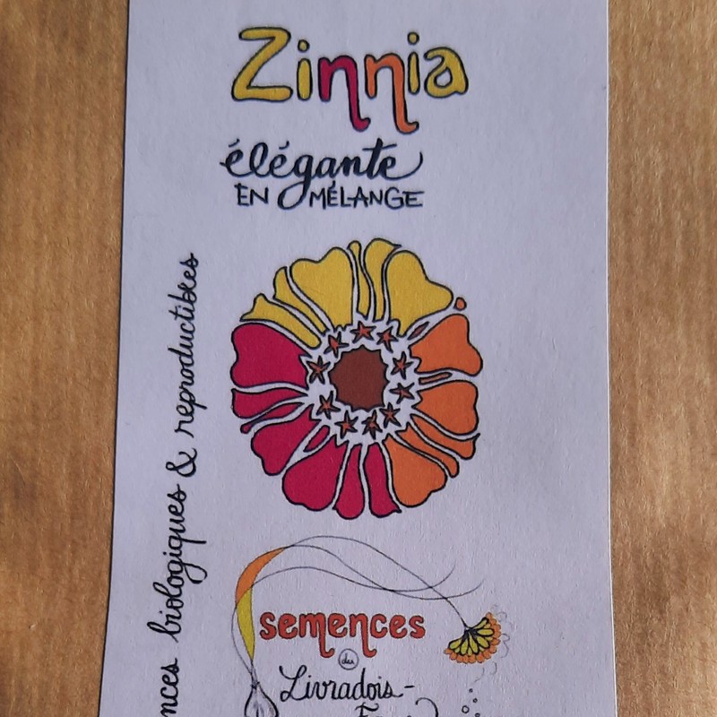 Sachet de 50 graines de Zinnia