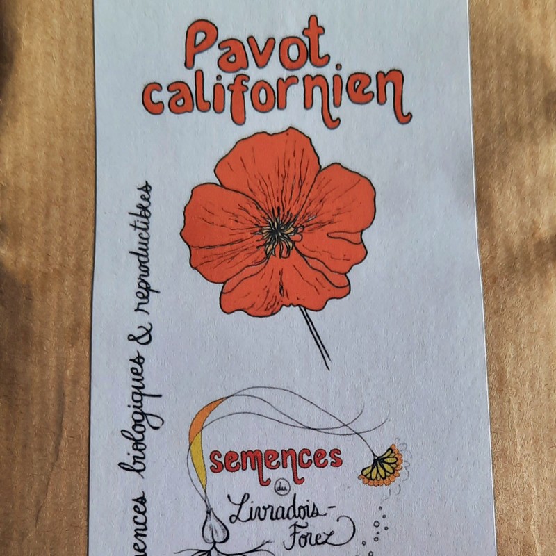 sachet de 100 graines de pavot de californie