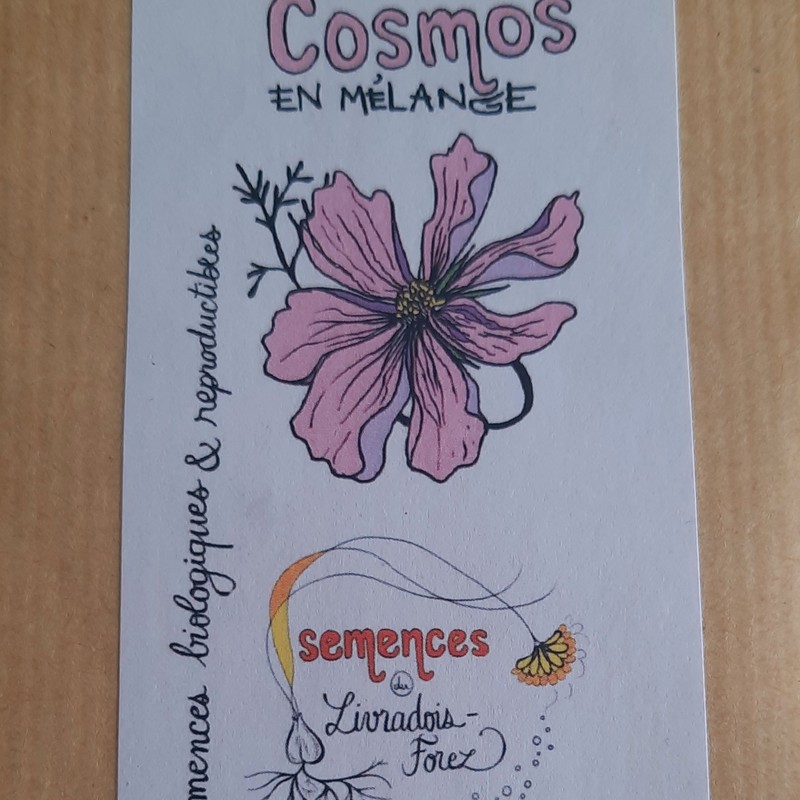 sachet de 40 graines de cosmos en mélange